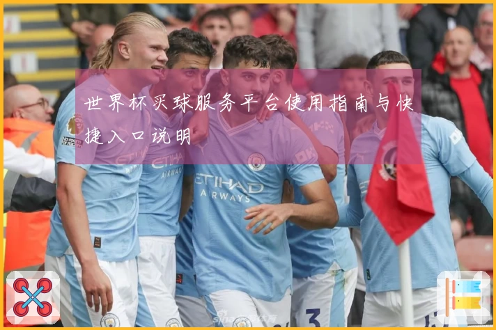 世界杯买球服务平台使用指南与快捷入口说明