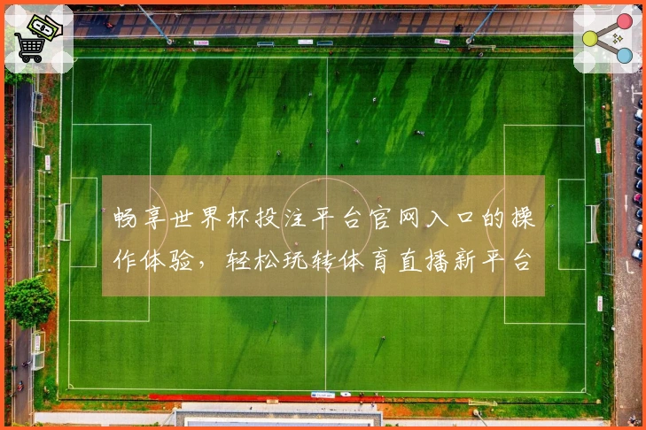 畅享世界杯投注平台官网入口的操作体验，轻松玩转体育直播新平台