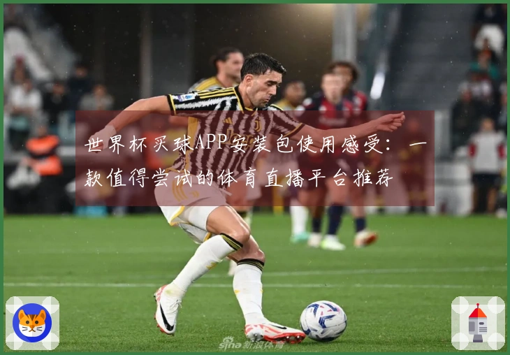 世界杯买球APP安装包使用感受：一款值得尝试的体育直播平台推荐