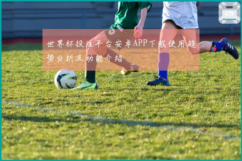 世界杯投注平台安卓APP下载使用趋势分析及功能介绍