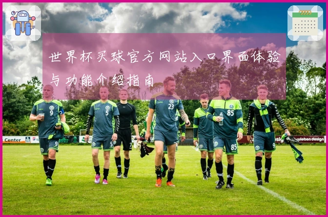 世界杯买球官方网站入口界面体验与功能介绍指南