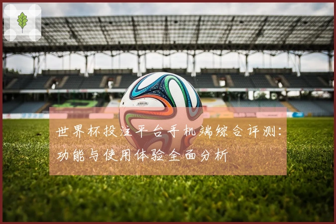 世界杯投注平台手机端综合评测：功能与使用体验全面分析