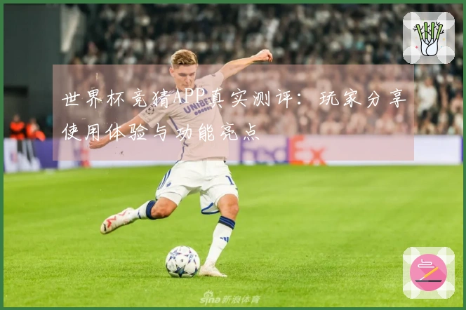 世界杯竞猜APP真实测评：玩家分享使用体验与功能亮点