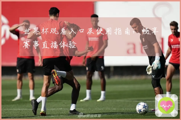 世界杯观看入口及使用指南，畅享赛事直播体验
