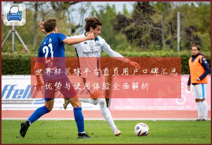 世界杯买球平台首页用户口碑汇总：优势与使用体验全面解析