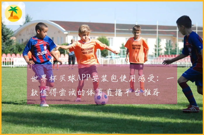 世界杯买球APP安装包使用感受：一款值得尝试的体育直播平台推荐