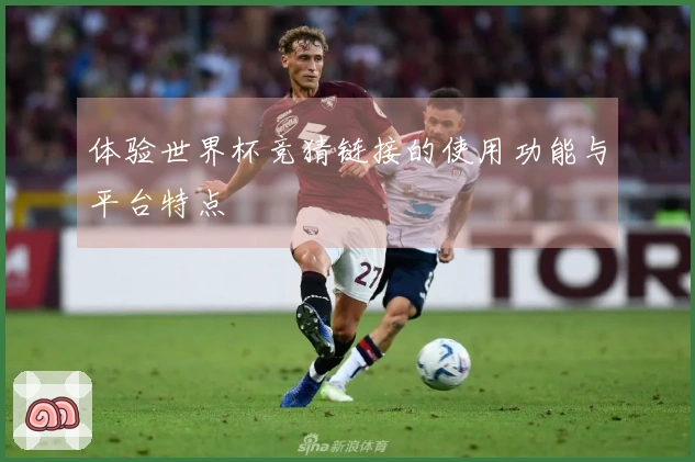 体验世界杯竞猜链接的使用功能与平台特点