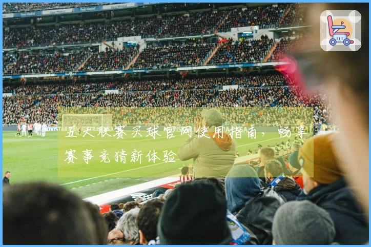 五大联赛买球官网使用指南，畅享赛事竞猜新体验