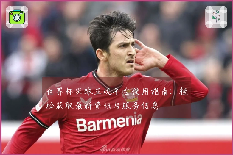 世界杯买球正规平台使用指南:轻松获取最新资讯与服务信息