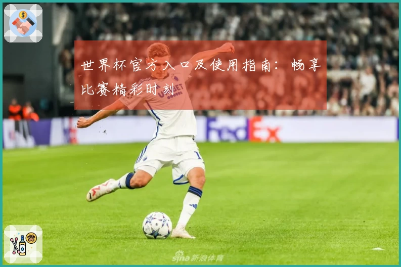 世界杯官方入口及使用指南:畅享比赛精彩时刻