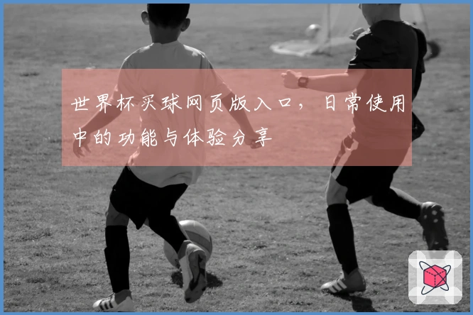 世界杯买球网页版入口，日常使用中的功能与体验分享