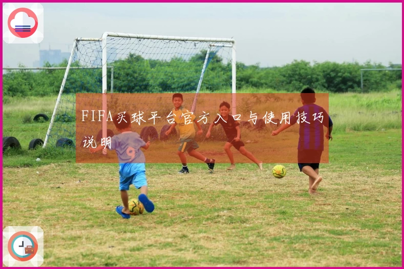 FIFA买球平台官方入口与使用技巧说明
